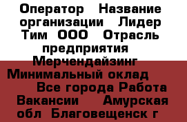 Оператор › Название организации ­ Лидер Тим, ООО › Отрасль предприятия ­ Мерчендайзинг › Минимальный оклад ­ 26 000 - Все города Работа » Вакансии   . Амурская обл.,Благовещенск г.